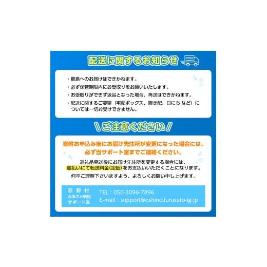ふるさと納税 水・ミネラルウォーター 500mL〜999mL 山梨県 忍野村  チョイス限定 5ヶ月定期便 富士山蒼天の水 500ml×24本（1ケース）ラベルレス 離島不可 天…の画像