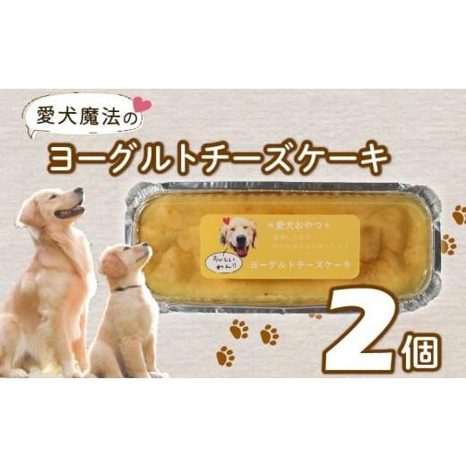 ふるさと納税 ケーキ・カステラ チーズケーキ 静岡県 藤枝市 愛犬用 ヨーグルト チーズケーキ 2個 ペット ケーキ おやつ 愛犬 わんちゃん 犬用 ワンちゃん 犬 …