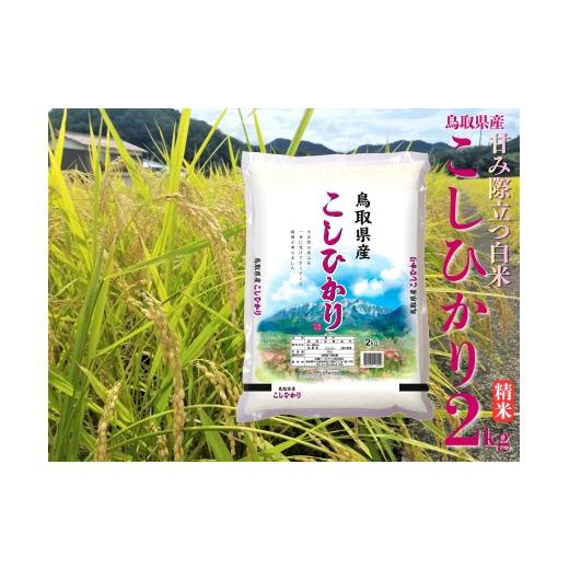 ふるさと納税 米 コシヒカリ 鳥取県 湯梨浜町 42M.鳥取県産こしひかり 精米2kg 令和7年産 こしひかり精米2kg×1袋(令和7年産)