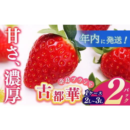 ふるさと納税 いちご 奈良県 平群町 年内発送 数量限定 ? 平群のいちご 「 古都華 」 2L 〜 3L サイズ (2パック 1ケース) 計 2パック | フルーツ 果物 くだも…