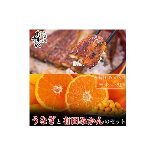 ふるさと納税 うなぎ 和歌山県 有田市 コラボ 国産うなぎ蒲焼き大サイズ2本セット&有田みかん「未来への虹」(5kg)(A1125-1)
