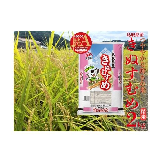 ふるさと納税 米 きぬむすめ 鳥取県 湯梨浜町 45M.鳥取県産きぬむすめ 精米2kg 令和7年産 きぬむすめ精米2kg×1袋(令和7年産)