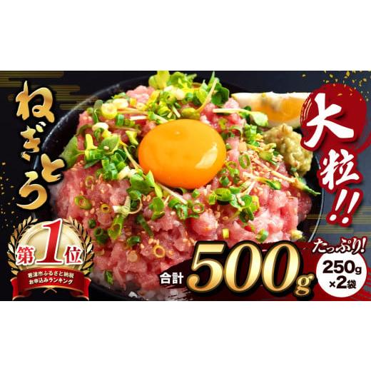 ふるさと納税 マグロ 千葉県 君津市 年内発送 大人気 ねぎとろ500g(250g×2袋) | 清幸丸水産 ふるさとチョイス限定品 まぐろ マグロ 鮪 手巻き寿司 韓国…