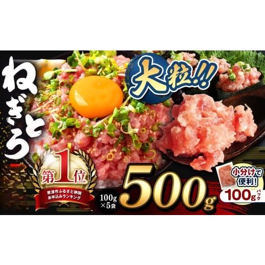 ふるさと納税 マグロ 千葉県 君津市 1月発送 ねぎとろ 小分け 100g パック 500g(100g×5袋)お試しサイズ 定期便 | 清幸丸水産 最短7日以内発送 おためし サ…