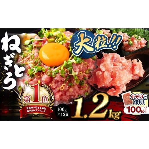 ふるさと納税 マグロ 千葉県 君津市 年内発送 ねぎとろ 小分け 100g パック 1200g(100g×12袋)お試しサイズ スピード発送 | 清幸丸水産 最短7日以内発送 大…