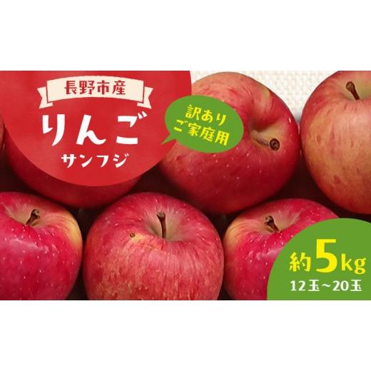 ふるさと納税 りんご 長野県 長野市 訳あり ご家庭用 2026年長野市産 サンふじ 規格外 訳あり 約5kg | りんご サンふじ 訳あり 規格外 人気 おすすめ 林檎 リ…