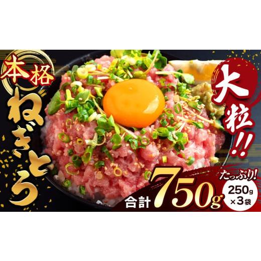 ふるさと納税 マグロ 千葉県 君津市 年内発送 大人気 ねぎとろ 750g(250g×3袋) 清幸丸水産 | ふるさとチョイス限定品 清幸丸水産 ネギトロ とろ 鮪 マグロ…