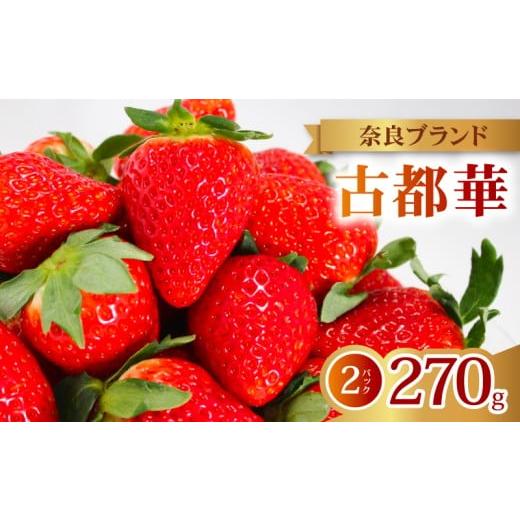 ふるさと納税 いちご 奈良県 奈良市 いちご 古都華 2026年 発送(270g×2パック) 家庭用 予約受付中 数量限定 いちご イチゴ 先行予約 いちご 苺 奈良ブラン…