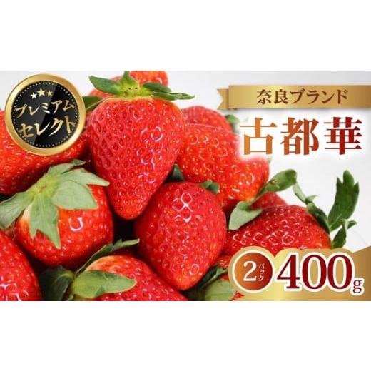 ふるさと納税 いちご 奈良県 奈良市 いちご 古都華 プレミアム セレクト 2026年 発送(400g×2パック) 贈与用 予約受付中 数量限定 早期終了 予定あり いちご…