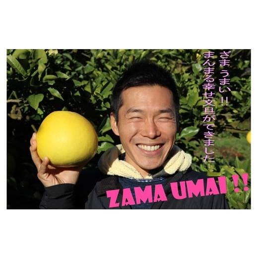 ふるさと納税 みかん・柑橘類 高知県 宿毛市 土佐文旦 家庭用 10kg(L〜5L 約14〜28個前後) 10kg(L〜5L) 約14〜28個前後