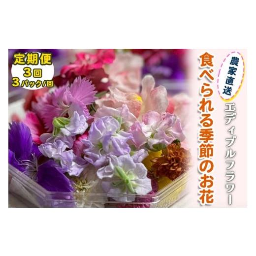 ふるさと納税 野菜類 神奈川県 伊勢原市 定期便3回 農家直送 加藤さんちのエディブルフラワー 3パック (1パックあたり季節のお花15輪から30輪)|食用 花 お花…