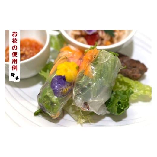 ふるさと納税 野菜類 神奈川県 伊勢原市 農家直送 加藤さんちのエディブルフラワー 24ポット｜鉢植え 観賞用 食用 花 お花 野菜 トッピング 付け合わせ 0776