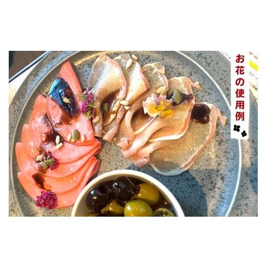 ふるさと納税 野菜類 神奈川県 伊勢原市 農家直送 加藤さんちのエディブルフラワー 24ポット｜鉢植え 観賞用 食用 花 お花 野菜 トッピング 付け合わせ 0776