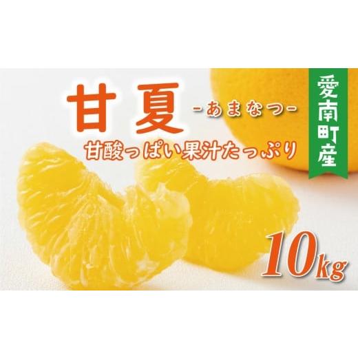 ふるさと納税 みかん・柑橘類 愛媛県 愛南町 先行予約 甘夏 10kg 10000円 樹齢25年 以上 みかん mikan 蜜柑 あまなつ 夏みかん グレープフルーツ だいだい 家…