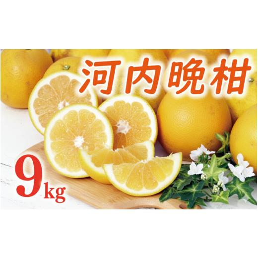 ふるさと納税 みかん・柑橘類 愛媛県 愛南町 数量限定 先行予約 河内晩柑 樹齢 20年以上 9kg ( Lサイズ 以上 ) 12000円 みかん mikan 蜜柑 ミカン かわちば…