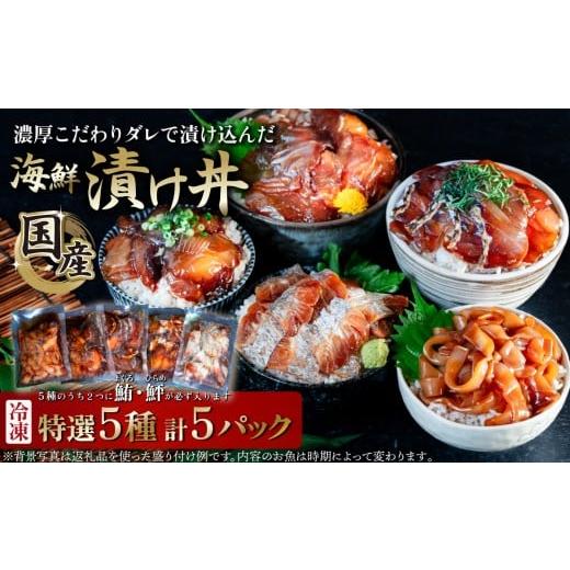 ふるさと納税 旬の鮮魚等 茨城県 下妻市 海鮮漬け丼5種セット 5パック 5パック(5種 x 各1パック) | 5000円
