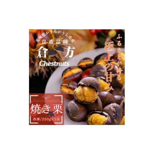 ふるさと納税 果物類 栗 茨城県 - 茨城県産 甘さ抜群 貴重品種『倉方』の焼き栗 250g×3セット(冷凍) 1691399