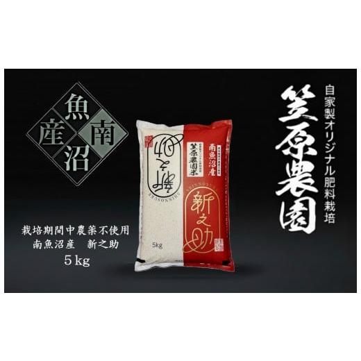 ふるさと納税 米 新潟県 南魚沼市 令和7年産新米 南魚沼産 笠原農園米 栽培期間中農薬不使用 新之助 5kg