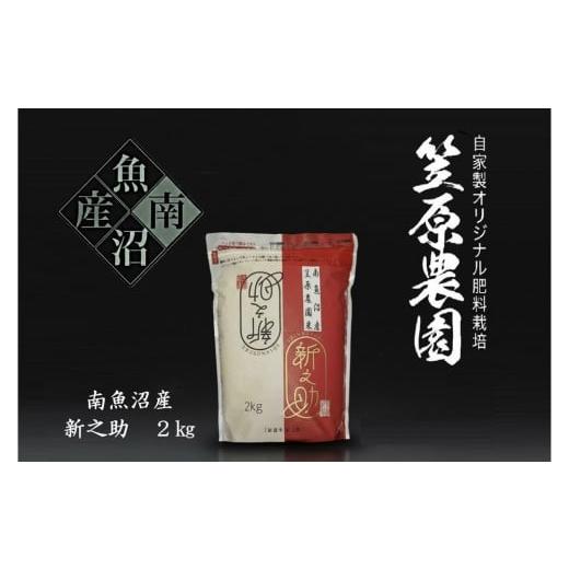 ふるさと納税 米 新潟県 南魚沼市 令和7年産新米 南魚沼産 笠原農園米 新之助 2kg