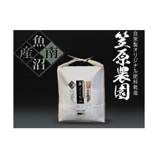 ふるさと納税 米 新潟県 南魚沼市 令和7年産新米 南魚沼産 笠原農園米 栽培期間中農薬不使用 夢ごこち 5kg