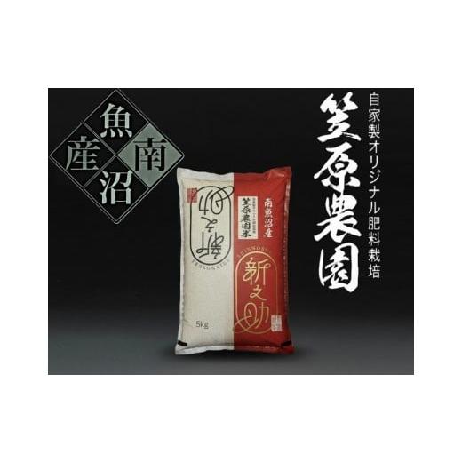 ふるさと納税 米 新潟県 南魚沼市 令和7年産新米 南魚沼産 笠原農園米 新之助 5kg