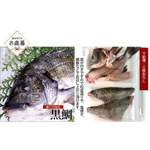 ふるさと納税 魚貝類 鯛 広島県 広島市 お歳暮 三枚おろし皮付き 黒鯛 1尾(約1kg)ちぬ チヌ 刺身 | 黒鯛 チヌ 鯛 鮮魚 刺身 国産 新鮮 活魚 ギフト お歳暮…