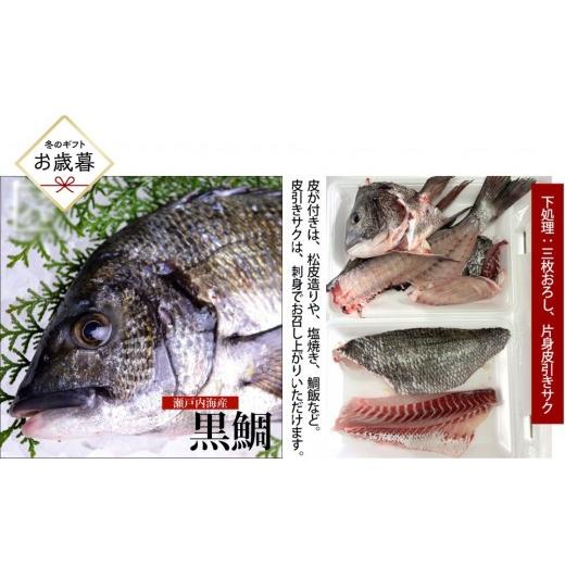 ふるさと納税 魚貝類 鯛 広島県 広島市 お歳暮 三枚おろし片身皮引きサク、片身皮付き 黒鯛 1尾(約1kg)ちぬ チヌ 刺身 | 黒鯛 チヌ 鯛 鮮魚 刺身 国産 新…
