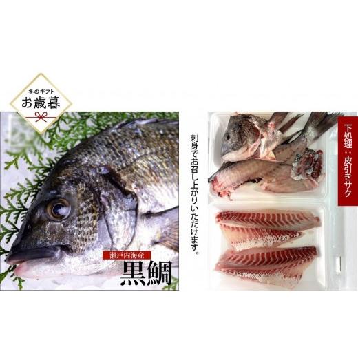 ふるさと納税 魚貝類 鯛 広島県 広島市 お歳暮 三枚おろし全て皮引きサク 黒鯛 1尾(約1kg)ちぬ チヌ 刺身 | 黒鯛 チヌ 鯛 鮮魚 刺身 国産 新鮮 活魚 ギフ…