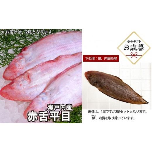 ふるさと納税 魚貝類 広島県 広島市 お歳暮 鱗、内臓処理 赤舌平目 2尾(1尾、約250g〜300g)れんちょうがれい レンチョウ | 平目 カレイ 鮮魚 白身魚 国産 …