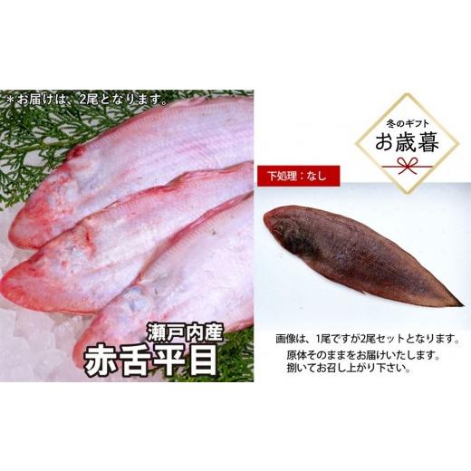 ふるさと納税 魚貝類 広島県 広島市 お歳暮 下処理なし 赤舌平目 2尾(1尾、約250g〜300g)れんちょうがれい レンチョウ | 平目 カレイ 鮮魚 白身魚 国産 新…