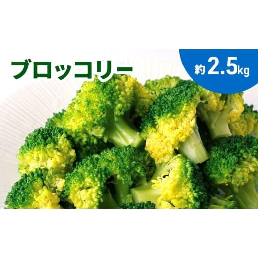 ふるさと納税 野菜類 香川県 土庄町 ブロッコリー 約2.5kg