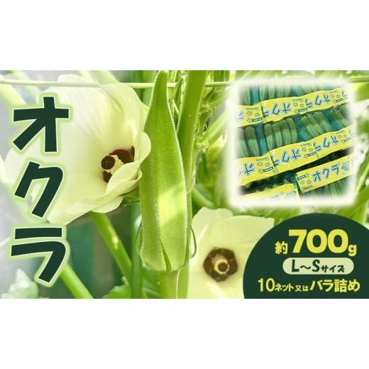 ふるさと納税 野菜類 アスパラガス 香川県 土庄町 オクラ 約700g 野菜