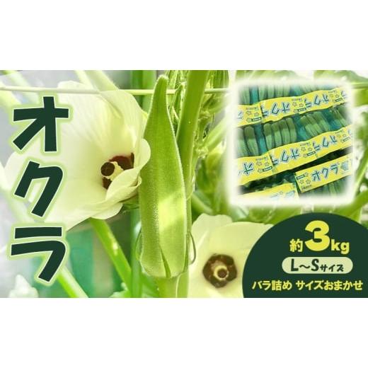 ふるさと納税 野菜類 アスパラガス 香川県 土庄町 オクラ 約3kgバラ 野菜