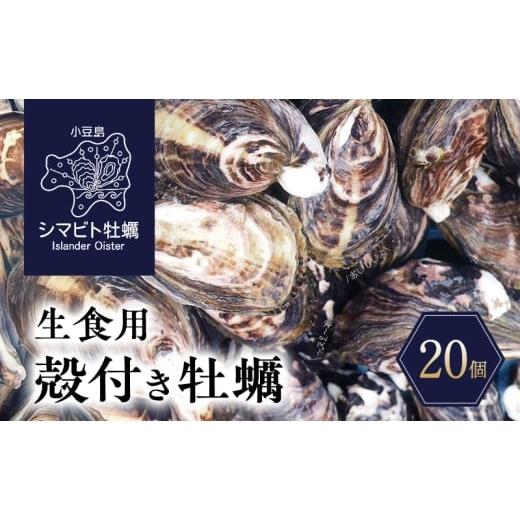 ふるさと納税 牡蠣 香川県 土庄町 小豆島 小豆島産 シマビト牡蠣 生食用殻付き牡蠣 20個 牡蠣 カキ 生牡蠣 生食用 殻付き シマビト 香川県