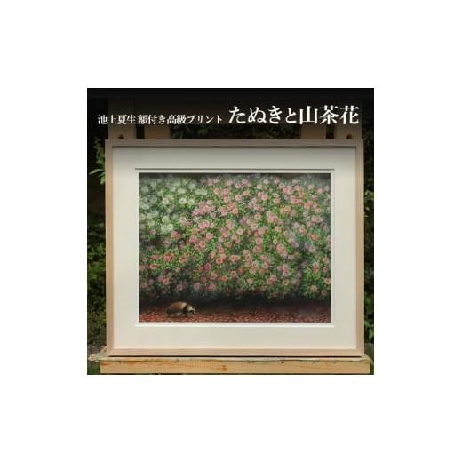 ふるさと納税 雑貨・日用品 絵画 香川県 土庄町 池上夏生 額付き高級プリント "たぬきと山茶花"