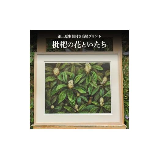 ふるさと納税 雑貨・日用品 絵画 香川県 土庄町 池上夏生 額付き高級プリント "枇杷の花といたち"