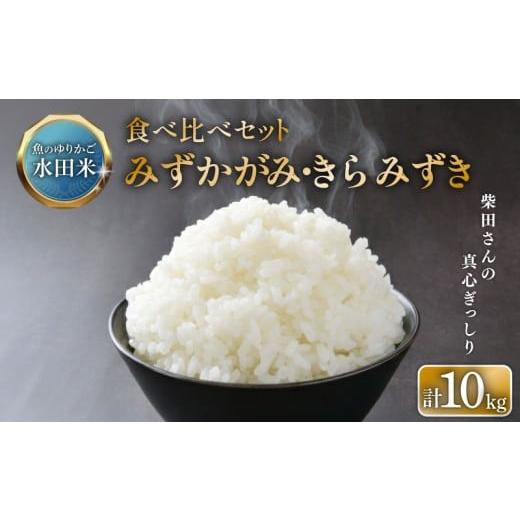 ふるさと納税 米 滋賀県 彦根市 数量限定 令和7年産 新米 きらみずき みずかがみ 各5kg 食べ比べ 白米 米 コメ お米 ひこにゃん米 ご飯 ごはん 5kg 10kg 5 10…