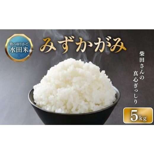 ふるさと納税 米 滋賀県 彦根市 数量限定 令和7年産 新米 みずかがみ 5kg 白米 米 コメ お米 ひこにゃん米 環境こだわり栽培 ご飯 ごはん 5kg×2袋 10 令和7…