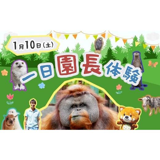 ふるさと納税 体験チケット 千葉県 市川市 市川市動植物園 一日園長チケット(1月10日実施) 11203-0371-1 1月10日実施