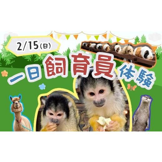 ふるさと納税 体験チケット 千葉県 市川市 市川市動植物園 飼育員体験チケット(2月15日実施) 11203-0372-3 2月15日実施