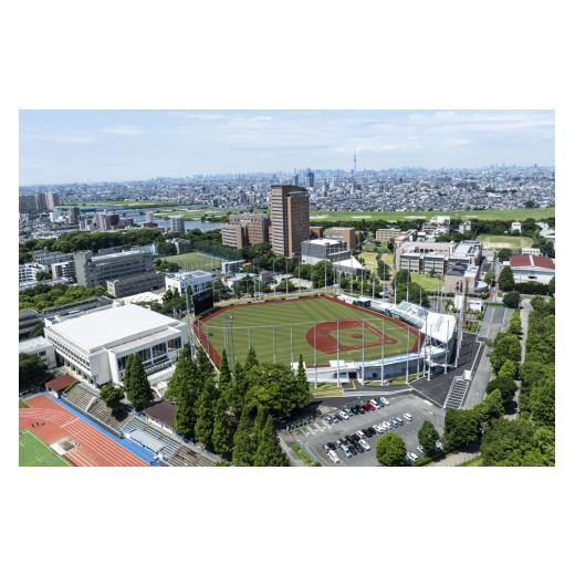 ふるさと納税 体験チケット 千葉県 市川市 国府台スタジアム利用権 4時間分(利用日:1/17、9時〜13時) 11203-0389-1 1/17、9時〜13時