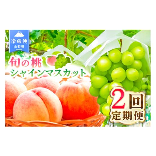 ふるさと納税 果物の詰合せ 山梨県 笛吹市 2026年発送 先行予約 2回定期便 旬のフルーツ定期便(桃1kg・シャインマスカット1房) 180-021-26y 桃×シャインマ…