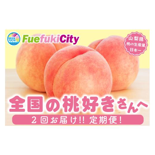 ふるさと納税 果物の詰合せ 山梨県 笛吹市 2026年発送 先行予約 2回定期便 旬のフルーツ定期便(桃白鳳系1kg・桃白桃系1kg) 180-024-26y 桃×桃