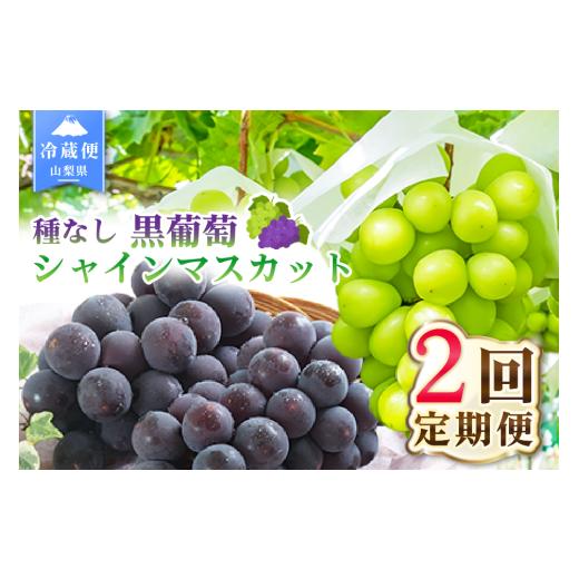ふるさと納税 果物の詰合せ 山梨県 笛吹市 2026年発送 先行予約 2回定期便 旬のフルーツ定期便(種無し黒葡萄1房・シャインマスカット1房) 180-023-26y 種無…