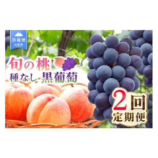 ふるさと納税 果物の詰合せ 山梨県 笛吹市 2026年発送 先行予約 2回定期便 旬のフルーツ定期便(桃1kg・種無し黒葡萄1房) 180-022-26y 桃×種無し黒葡萄