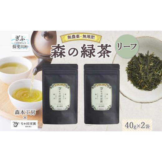 ふるさと納税 お茶類 岐阜県 揖斐川町   森本工房 森の緑茶 リーフ 40g 2袋 お茶 茶 緑茶 日本茶 茶葉 煎茶 国産 日本産 岐阜県産 香り豊か うま…