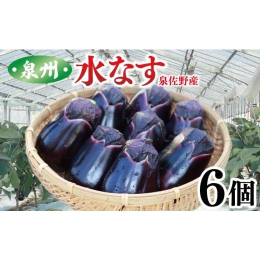 ふるさと納税 野菜類 茄子 大阪府 泉佐野市 泉州 泉佐野市産 ハウス水なす 6個 夏旬の水なすを冬にどうぞ