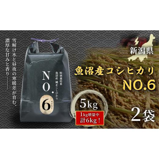 ふるさと納税 米 コシヒカリ 新潟県 津南町 一粒一粒に凝縮された甘みと粘りが特徴 魚沼産コシヒカリNo.6(5kg)×2袋|白米 おにぎり 日本 炊き込みご飯 手…