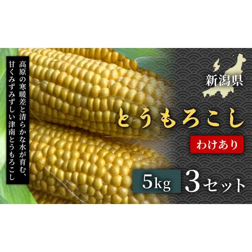 ふるさと納税 野菜類 新潟県 津南町 令和8年産先行予約 フルーツのような甘さ わけあり とうもろこし 5kg 3セット 産地直送 訳あり野菜自然の甘み フルーツ…