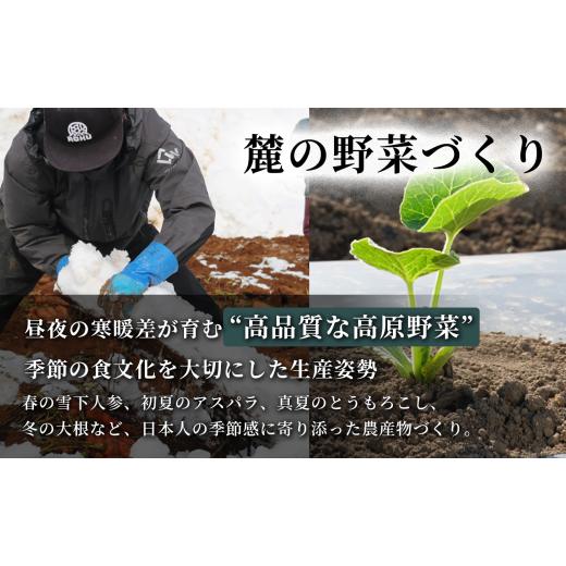 ふるさと納税 フルーツジュース飲み料 にんじん 新潟県 津南町 雪下にんじん清涼飲料水 200ml（12本1箱）定期便・全6回 新潟県 津南町 にんじん